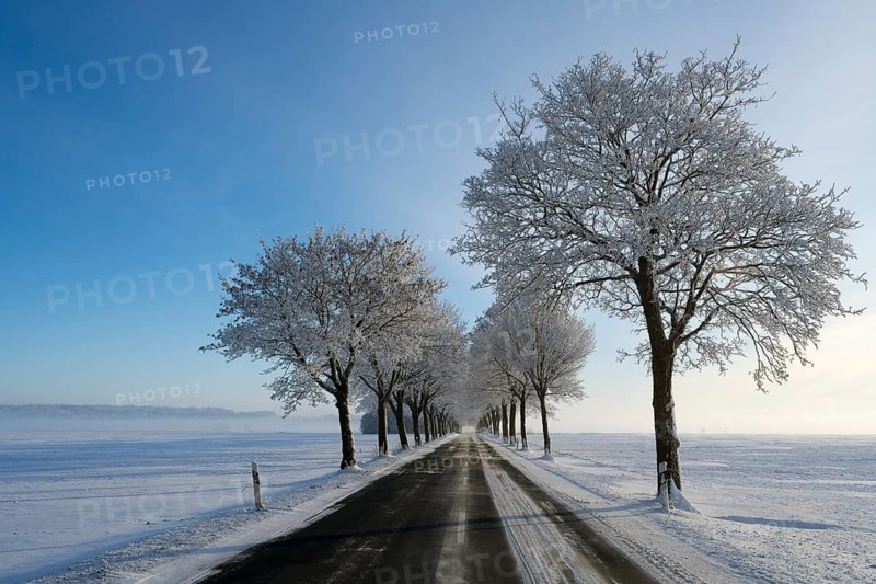 Snowy road through a row of trees under a clear, blue sky, trees on an avenue with hoarfrost between Solschen and Adenstedt, Ilsede, Peine district, Lower Saxony, Germany