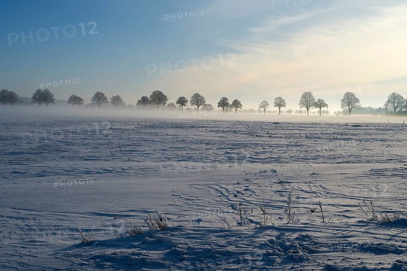 Wide field in winter with trees on the horizon and fog, between Bülten and Solschen, Ilsede, Peine district, Lower Saxony, Germany