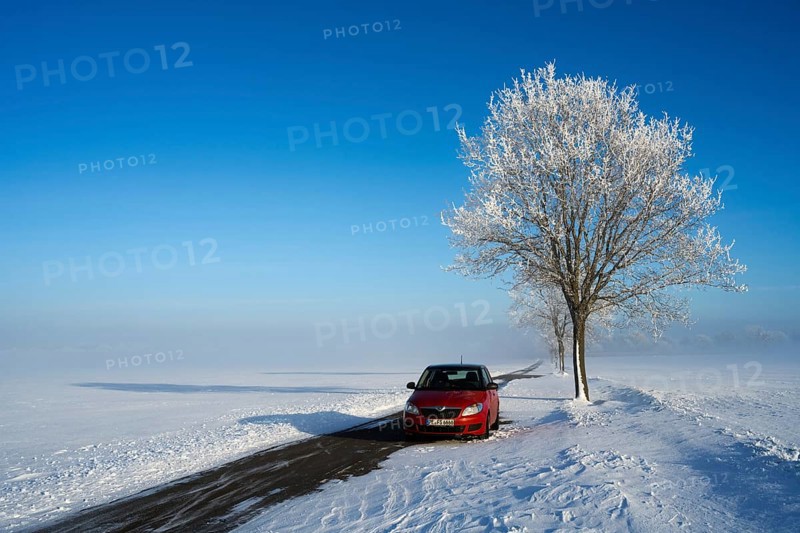 Red car parked next to a snow-covered tree on a lonely road under bright blue sky, Skoda Fabia and tree in snow with hoarfrost, fog in the background, between Bülten and Solschen, Ilsede, Peine district, Lower Saxony, Germany