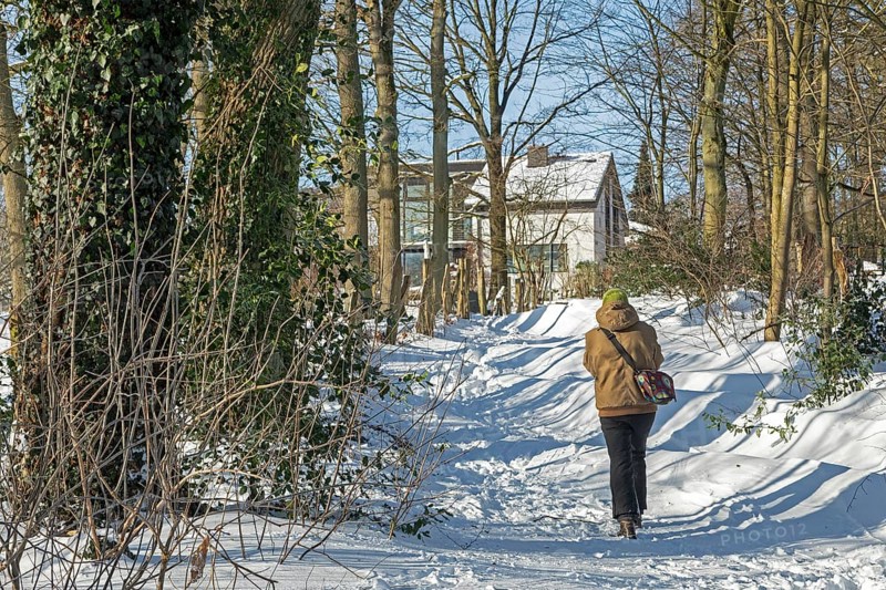 Man walking in snow, snowy path, trees, winter, Sieversen, Samtgemeinde Rosengarten, Lower Saxony, Germany