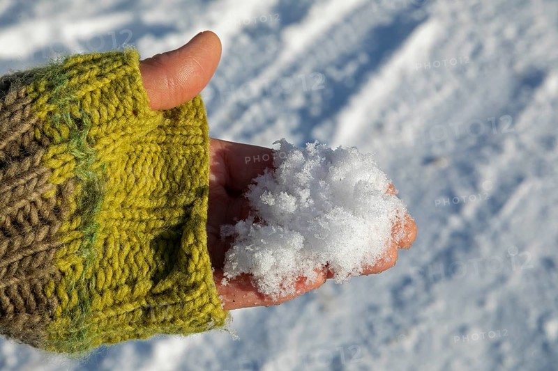 Snow in one hand, winter, Sieversen, Samtgemeinde Rosengarten, Lower Saxony, Germany