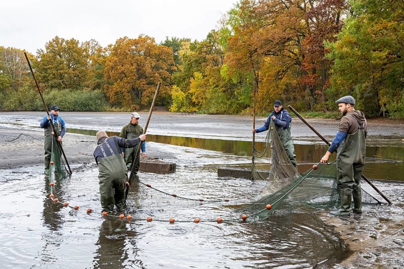 Fishing at Teichwirtschaft Ahlhorner Fischteiche, Ahlhorn, Lower Saxony, Germany