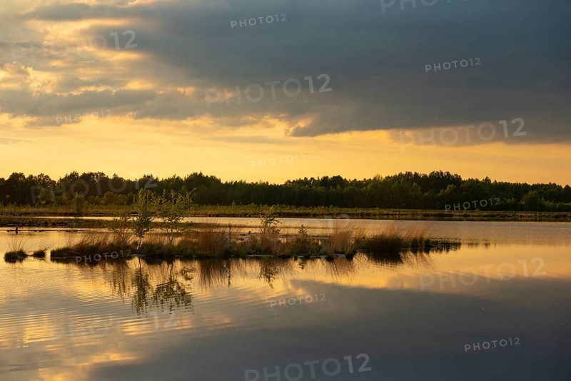 Evening at sunset in Goldenstedter Moor, Goldenstedt, Lower Saxony, Germany