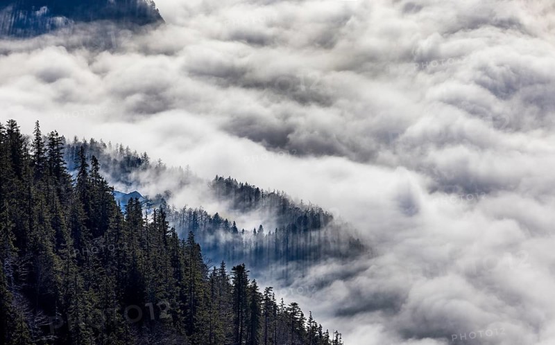 View from Vormauerstein of a sea of fog on Lake Wolfgang, inversion weather, Osterhorn Group, Salzkammergut, Province of Salzburg, Austria