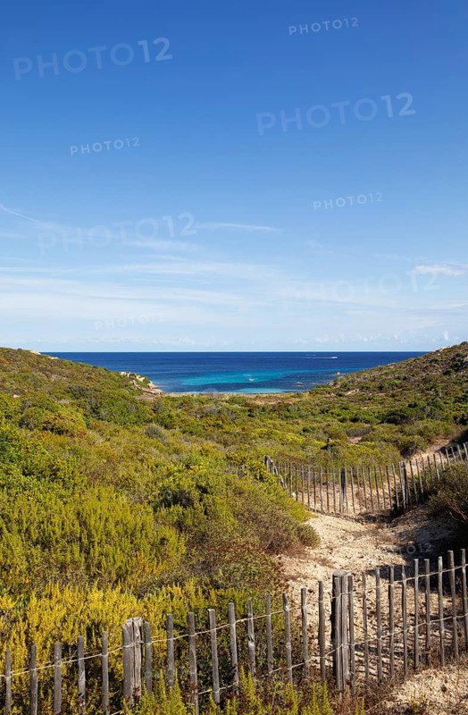Coast at Punta de la Revellata, Calvi, Haute Corse Department, Corsica, France