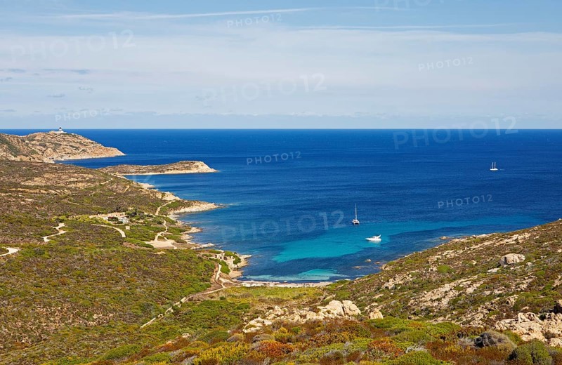 Coast at Punta de la Revellata, behind the lighthouse, Calvi, Haute Corse Department, Corsica, France