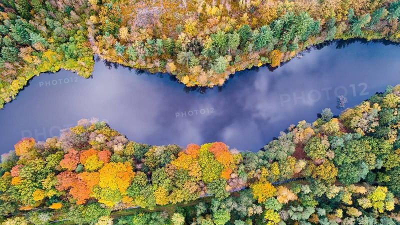 Autumn forest at the Ahlhorn fish ponds, Hoheging, Emstek, Lower Saxony, Germany