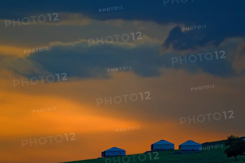 Mongolian yurts next to a single tree against an orange evening sky at sunset in the steppe, Bulgan, Mongolia