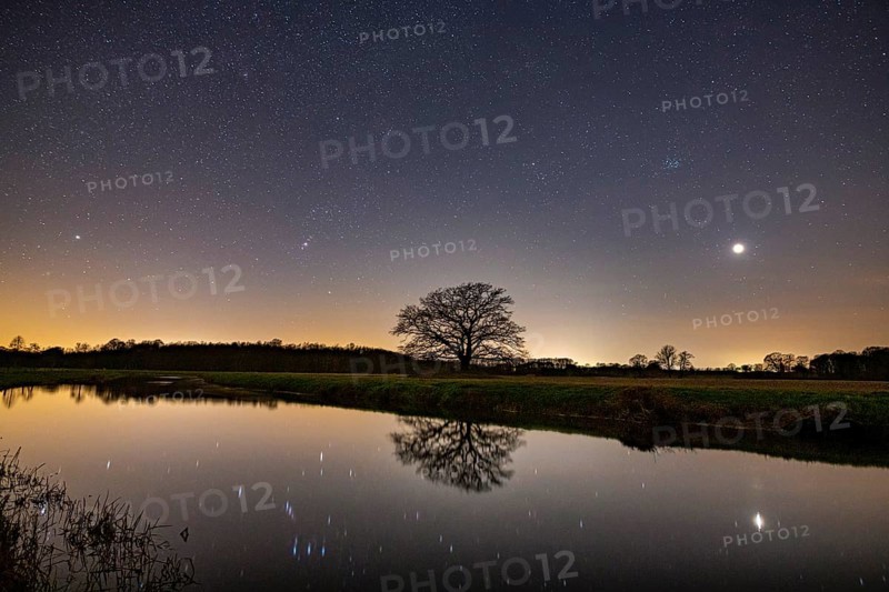 Oak (Quercus) on the river Hunte at night with stars, in the sky, darkness, Colnrade, Lower Saxony, GermanyGermany