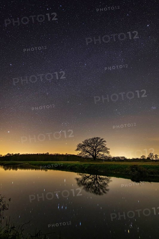 Oak (Quercus) on the river Hunte at night with stars, in the sky, darkness, Colnrade, Lower Saxony, Germany