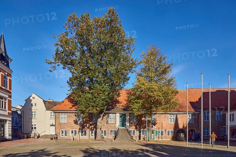 City museum, historic town hall, brick building, facade with windows, museum, staircase, square of paving stones, flagpoles, trees with autumn leaves, summer lime tree (Tilia platyphyllos), winter lime tree (Tilia cordata), autumn leaves, blue sky, cloudless, market square, town hall market, Eckernförde, district Rendsburg-Eckernförde, Schleswig-Holstein, Germany