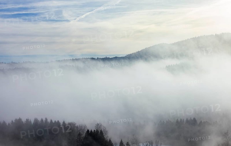 Autumn landscape, trees rising from the fog, inversion weather, Mondseeland, Salzkammergut, Upper Austria, Austria