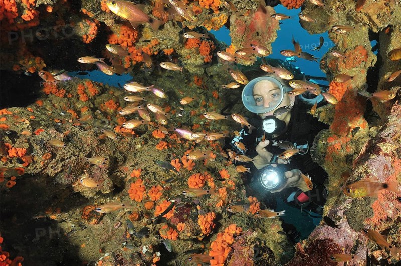 Underwater photo Diver looking through rust-eaten wall of shipwreck illuminated Jewelled Bannerfish (Pseudanthias squamipinnis) Jewelled Bannerfish, Andaman Sea, Indian Ocean, Thailand