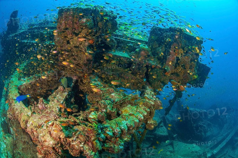 Underwater photo Large cog and parts from former sunken tin excavator Boonsung wreck off the coast of the seaside resort of Khao Lak, Andaman Sea, Indian Ocean, Thailand