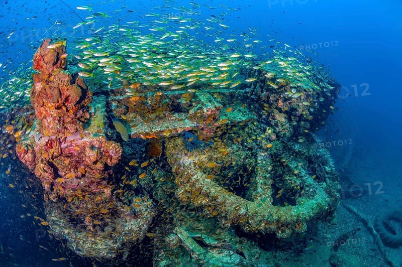 Underwater photo Large cog and parts of former sunken tin excavator Boonsung wreck off the coast of the seaside resort of Khao Lak, Andaman Sea, Indian Ocean, Thailand