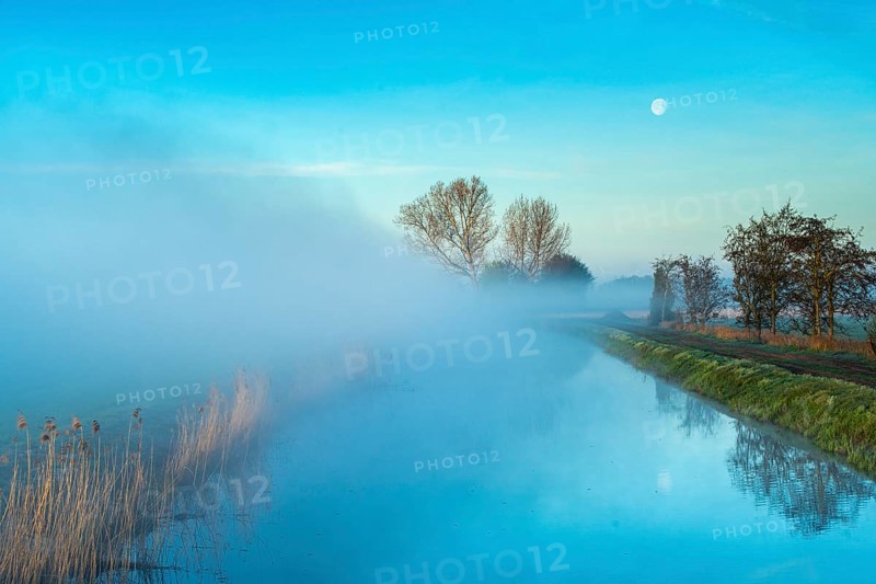River Lohne at daybreak with fog, Dümmer, Lembruch, Lower Saxony, Germany