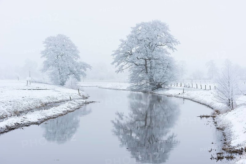 Wintery tree with hoarfrost reflected in the Hunte, Diepholz, Lower Saxony, Germany