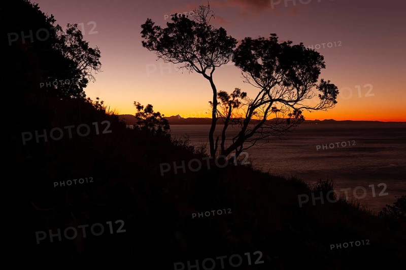 Evening red sky at Wategos Beach with tree on rocks and Mount Warning behind the hinterland, New South Wales, Australia