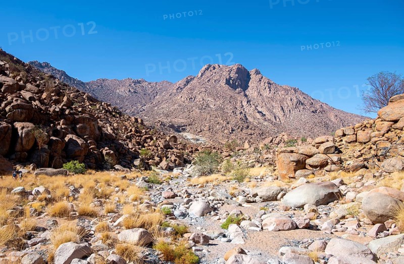 Hiking to White Lady, Dry Mountain Landscape, Tsisab Gorge, Brandberg, Erongo, Namibia