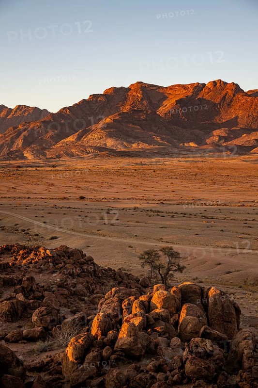 Desert landscape with Brandberg in morning light, at sunrise, Erongo, Damaraland, Namibia