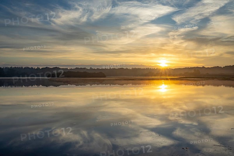 Ahlhonrer fish pond with fog at daybreak, fog, reeds, sunrise, Ahlhorn, Lower Saxony, Germany