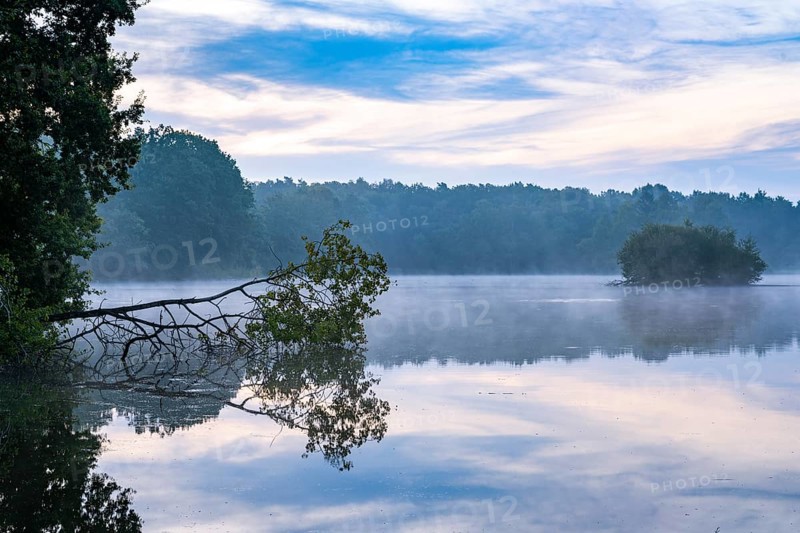 Daybreak with fog at blue hour in the Ahlhorner Fischteiche nature reserve of the Lower Saxony State Forests, Ahlhorn, Lower Saxony, Germany