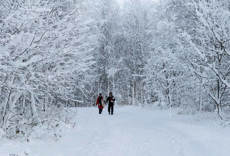 A couple walks on a snow-covered path under snow-laden branches in Ystad, Skåne County, Sweden, Scandinavia