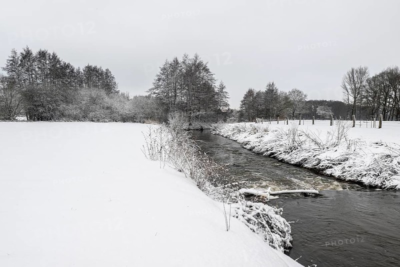 Winter landscape with black alder (Alnus glutinosa) along a ditch, Emsland, Lower Saxony, Germany