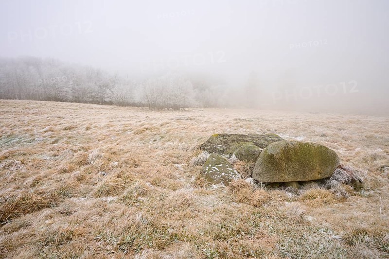Scattered rocks on a frosty, foggy meadow, winter, Route de Cretes, Hohneck, La Bresse, Vosges, France