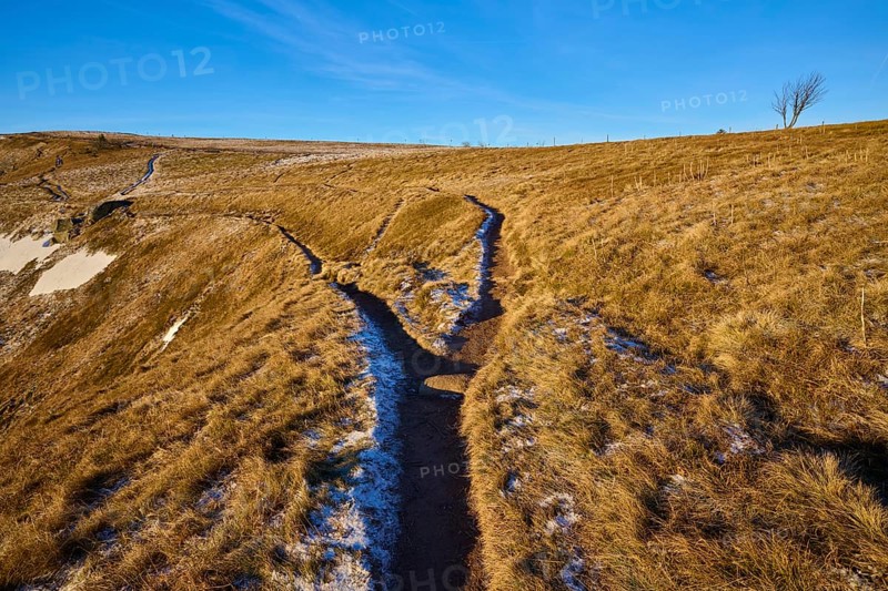 A forked path through grassy hills with blue skies and wintry atmosphere, La Gorge de Pierrel, Martinswand, Frankental, Vosges, France