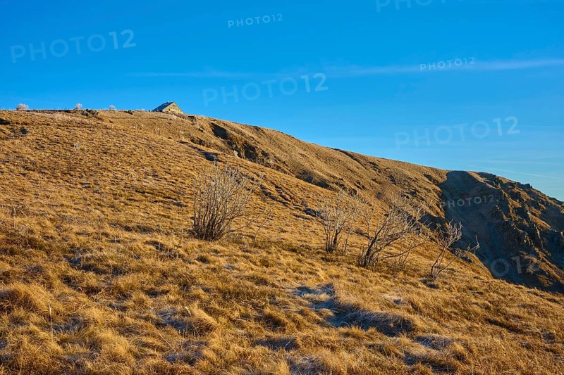 Barren hills with grasses under clear sky and no snow cover, morning, winter, Hohneck, La Bresse, Vosges, France