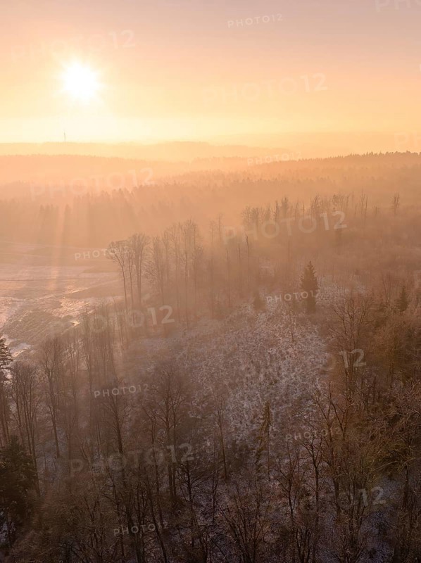 Forest landscape with trees and soft morning light fog, old deposit, construction site for PV open space plant, Lindenrain, Calw, Germany