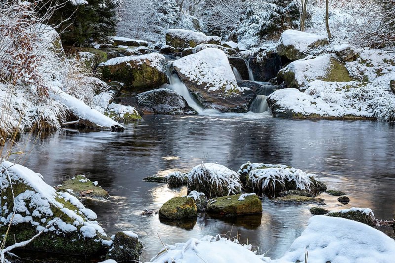 Gumpe with snow and moss-covered rocks in wintery Ilse Valley, Heinrich-Heine-Weg, Harz National Park, Saxony-Anhalt, Germany