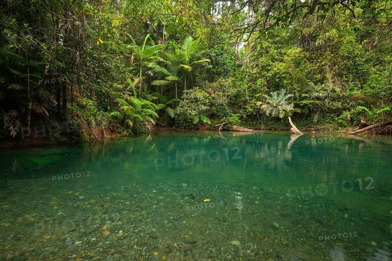 The Blue Hole, Cooper Creek, Daintree National Park, Queensland, Australia