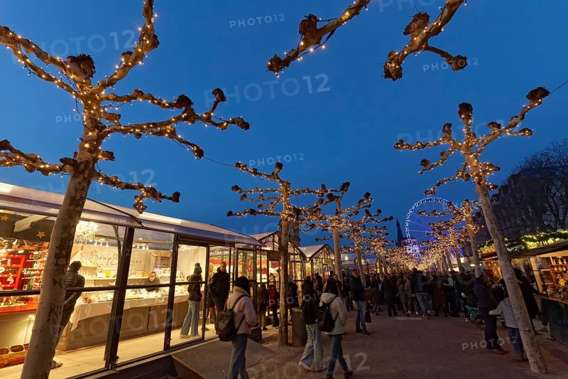 Christmas market in Düsseldorf's old town, Roncalli's Christmas promenade, evening, Düsseldorf, North Rhine-Westphalia, Germany