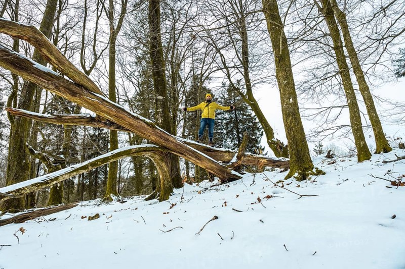 Man wearing a yellow jacket and hat balancing arms outstretched on a large fallen tree log covered in snow, showcasing adventure and freedom in a winter landscape with tall bare trees