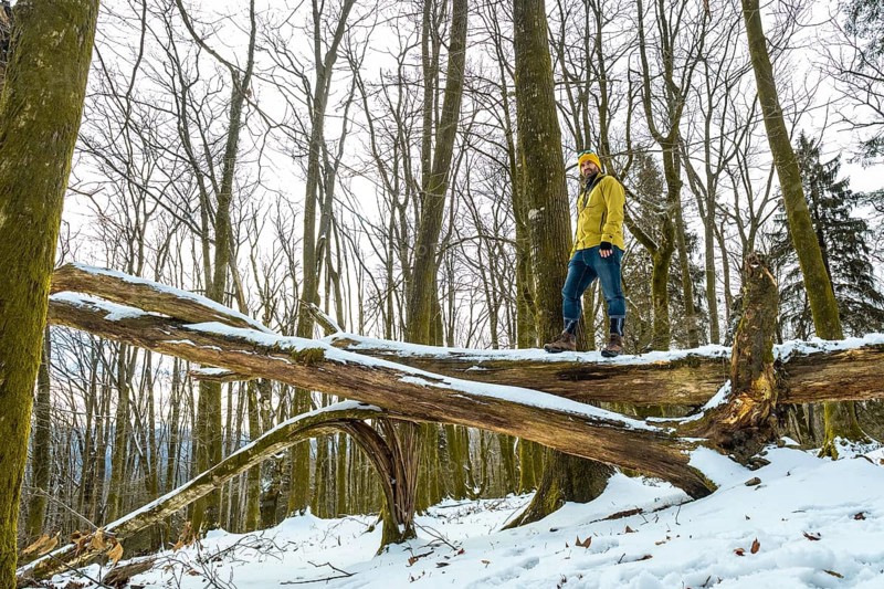 Man wearing winter clothing standing on a large fallen tree trunk covered with snow, enjoying a peaceful and adventurous hike through the tranquil forest landscape during cold weather
