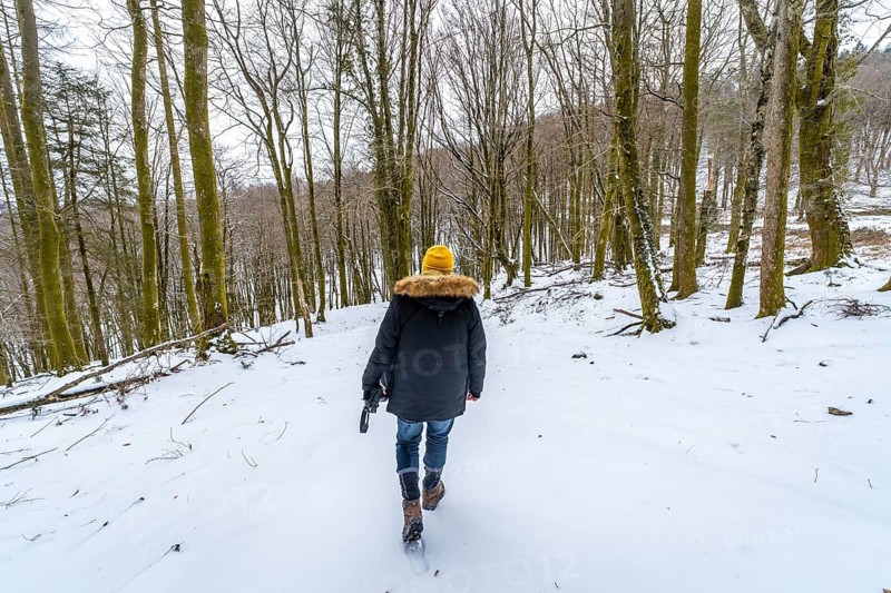 Person walking uphill in a winter forest, carrying a camera, wearing warm clothing with a yellow beanie and a hooded jacket, surrounded by bare trees during a cold day