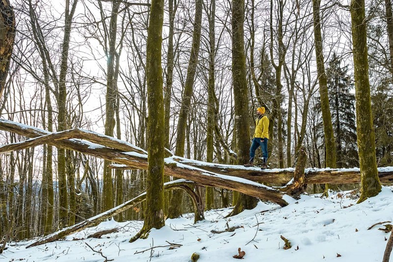 Man in yellow winter jacket standing on a snow covered fallen tree log, looking away in a serene forest, embodying themes of adventure, solitude, and connection with nature in cold weather