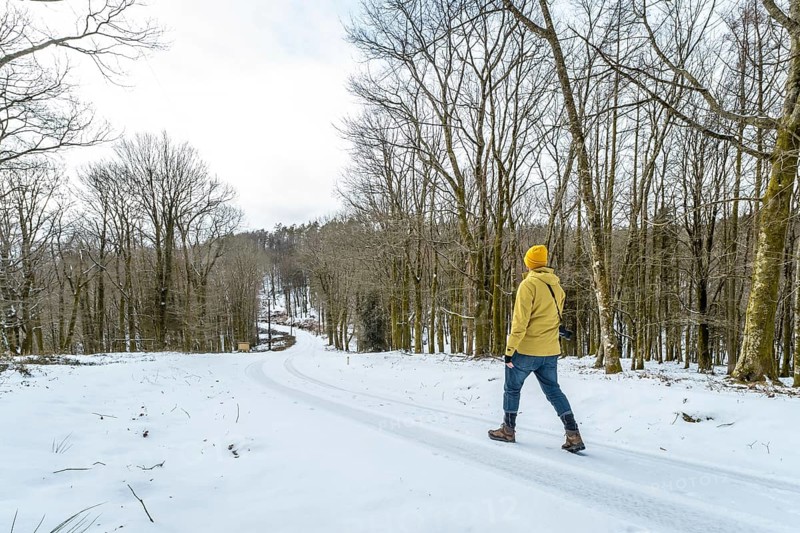 Person with yellow jacket and beanie beanie walking down a snow covered road winding through a bare winter forest, surrounded by trees on a cold day, enjoying nature and solitude