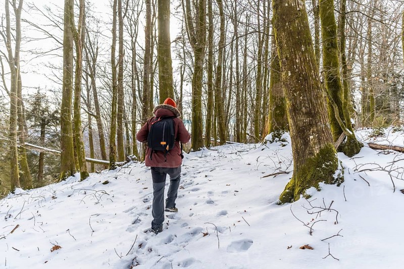 Person walking uphill through a snow covered forest with tall, mossy trees and footprints in the fresh snow, embracing the solitude and cold nature during a winter exploration