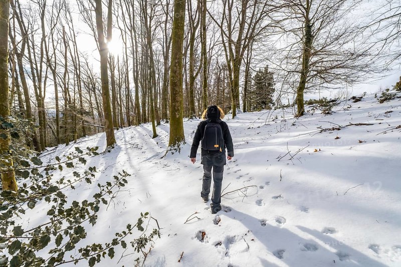 Person walking alone in a peaceful snow covered forest during winter, enjoying a serene outdoor trek and leaving footprints in the fresh powder under bright sunlight