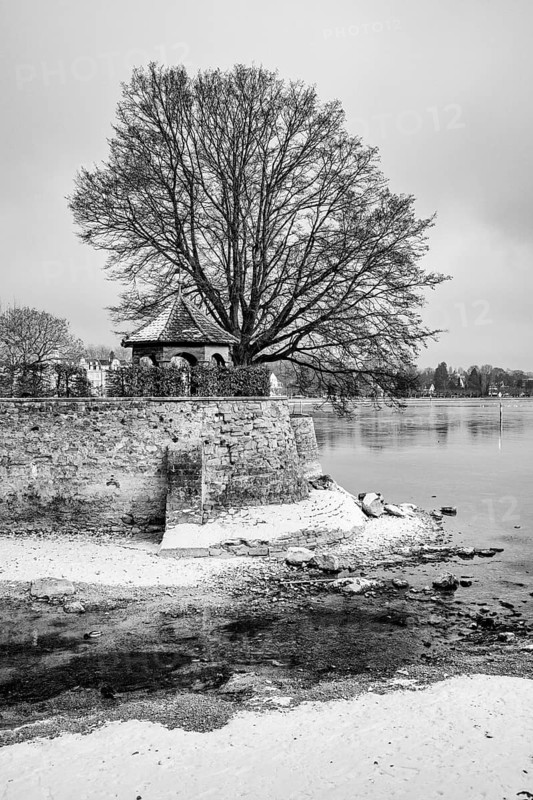 The island channel on the banks of Lake Constance, Dominican Island, black and white photography, Konstanz district, Baden-Württemberg, Germany
