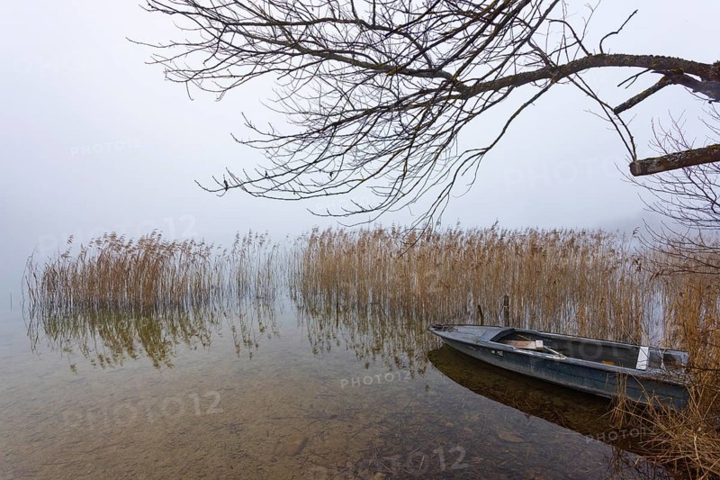 Foggy autumn atmosphere at the lake with fishing boat in reeds, Irrsee, Salzkammergut, Upper Austria, Austria