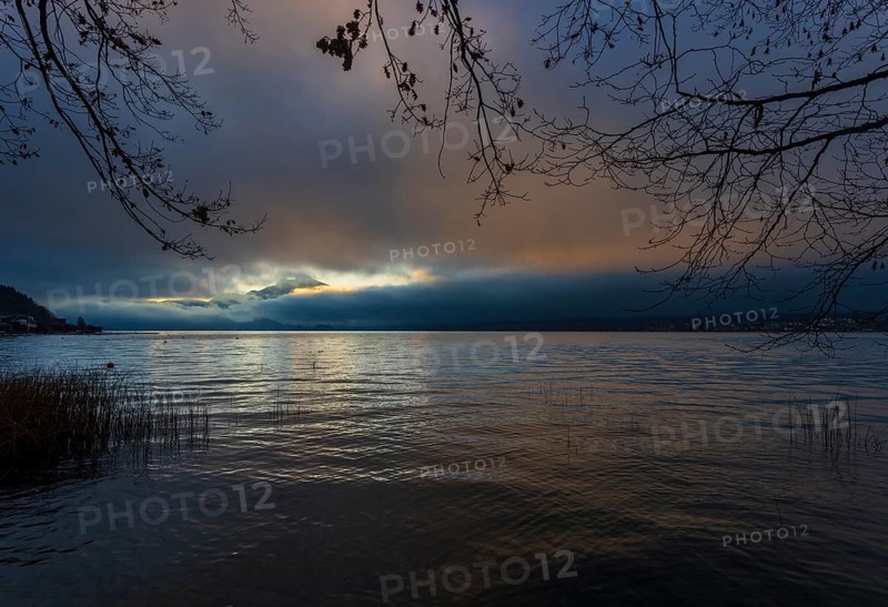 Quiet morning atmosphere at sunrise on a lake with reeds in the foreground, Mondsee, Salzkammergut, Upper Austria, Austria