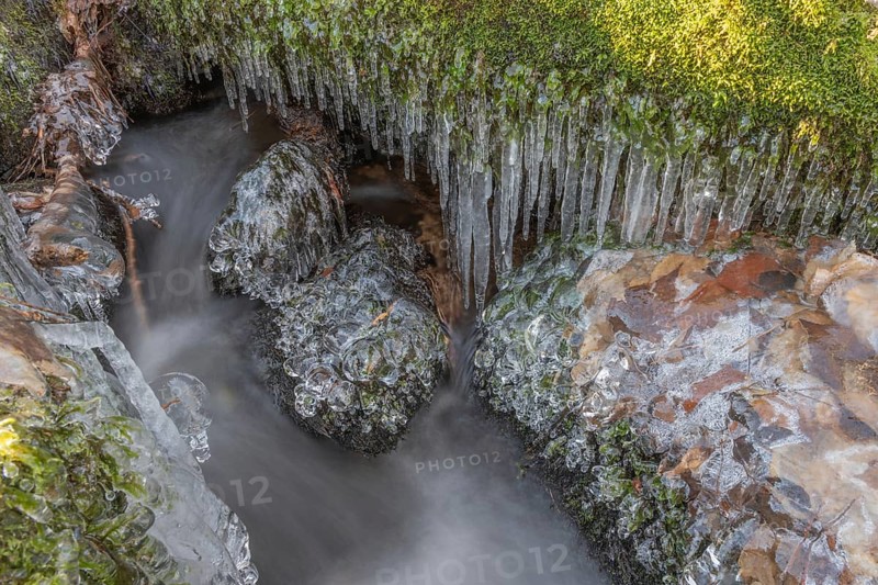 Branches are covered with ice near the river. The water flows gently and forms ice formations on the land and between the rocks. Upper Rhine, Vosges, Alsace, France