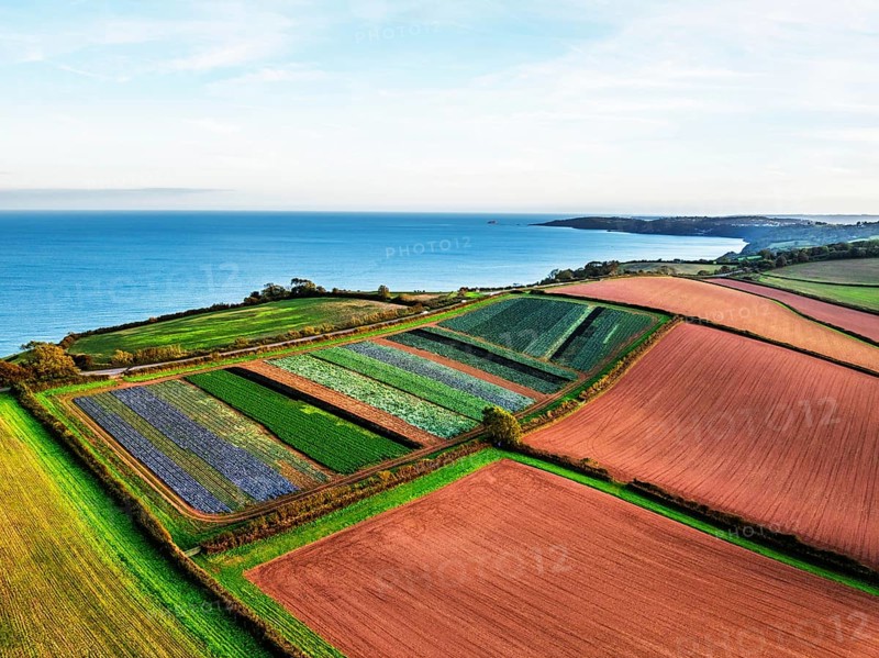 Colours of autumn Fields and Farms over Sheldon from a drone, Torbay, Devon, England, United Kingdom