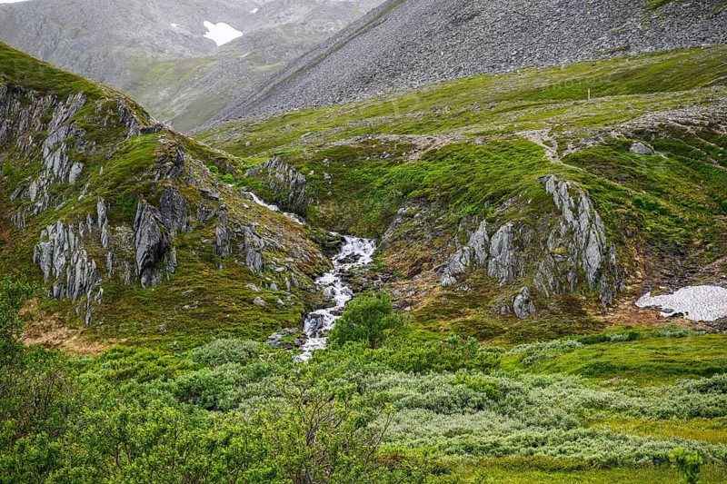Highlands with a small waterfall and lush vegetation between rocky slopes, Berlevåg, Finnmark, Norway