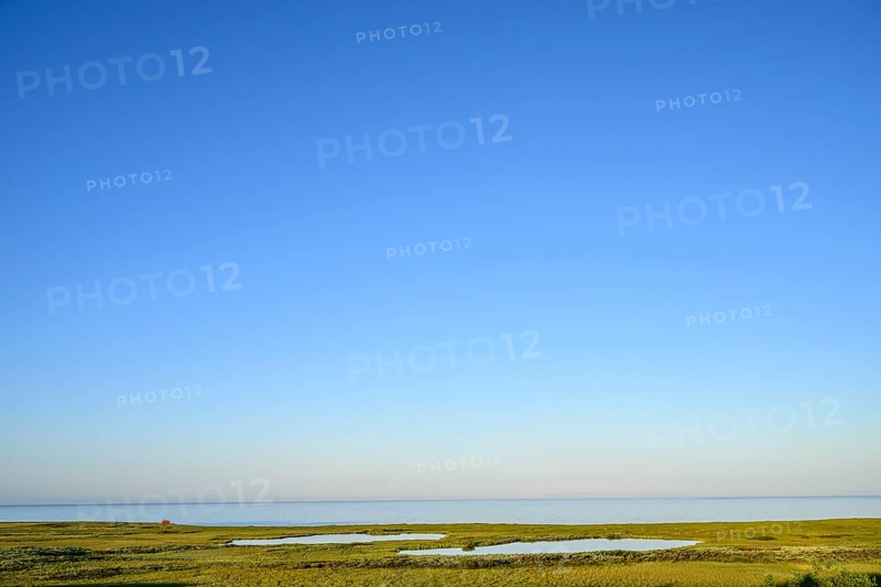 Clear blue sky over extensive moorland with shallow moor lakes on the coast of the Barents Sea on the Varanger Peninsula with small water areas, Kiberg, Finnmark, Norway