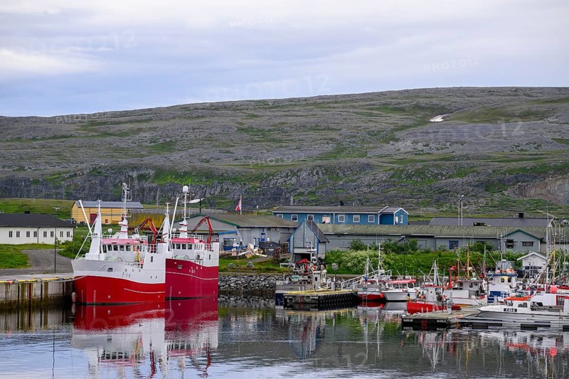 Fishing boats Fishing vessels are moored in Berlevag harbour in the north of the Varanger Peninsula with colorful buildings and a bare mountain range in the background, Berlevåg, Finnmark, Norway